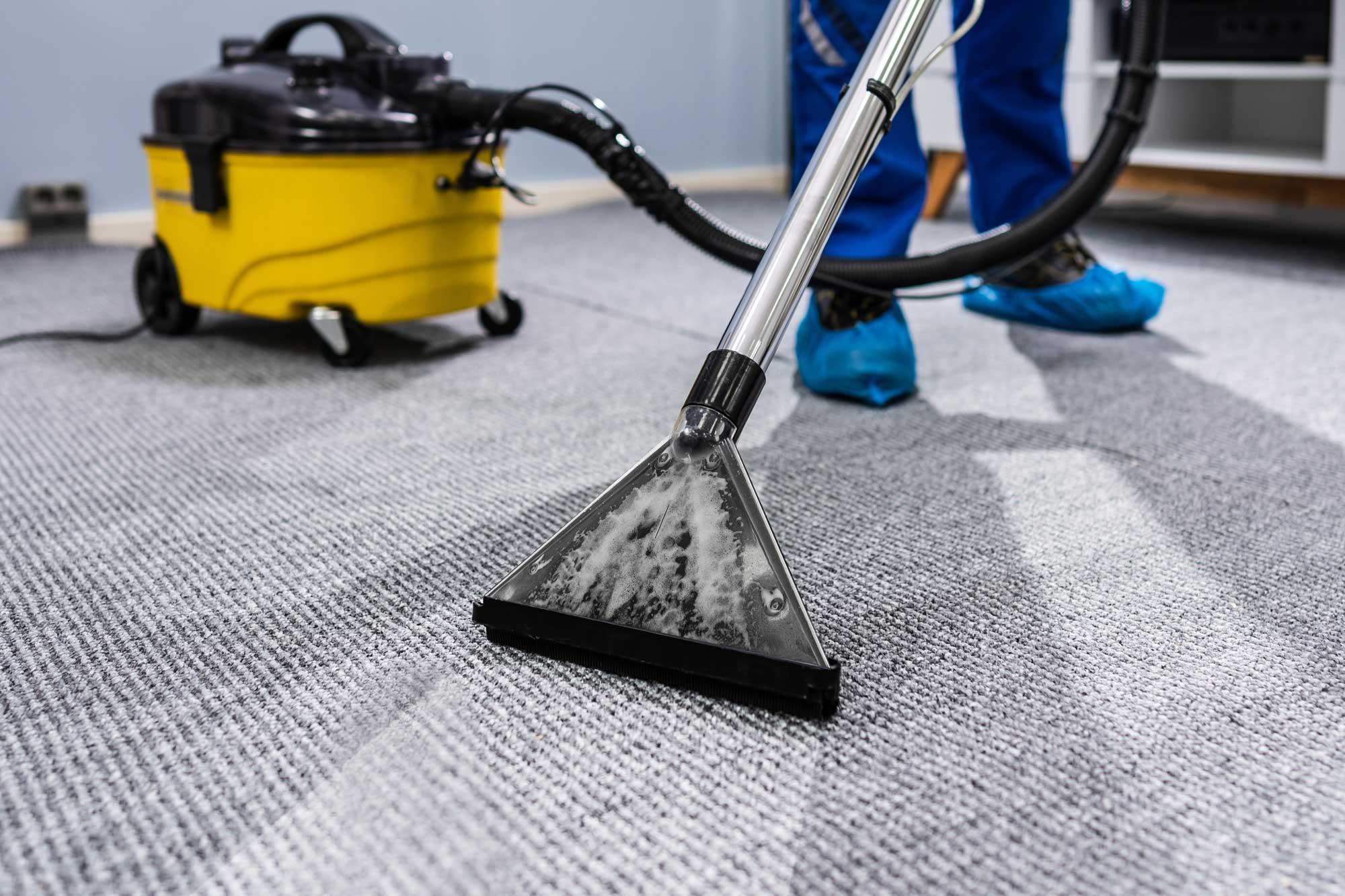 Is Professional Carpet Cleaning Worth It? Here’s the Real Difference