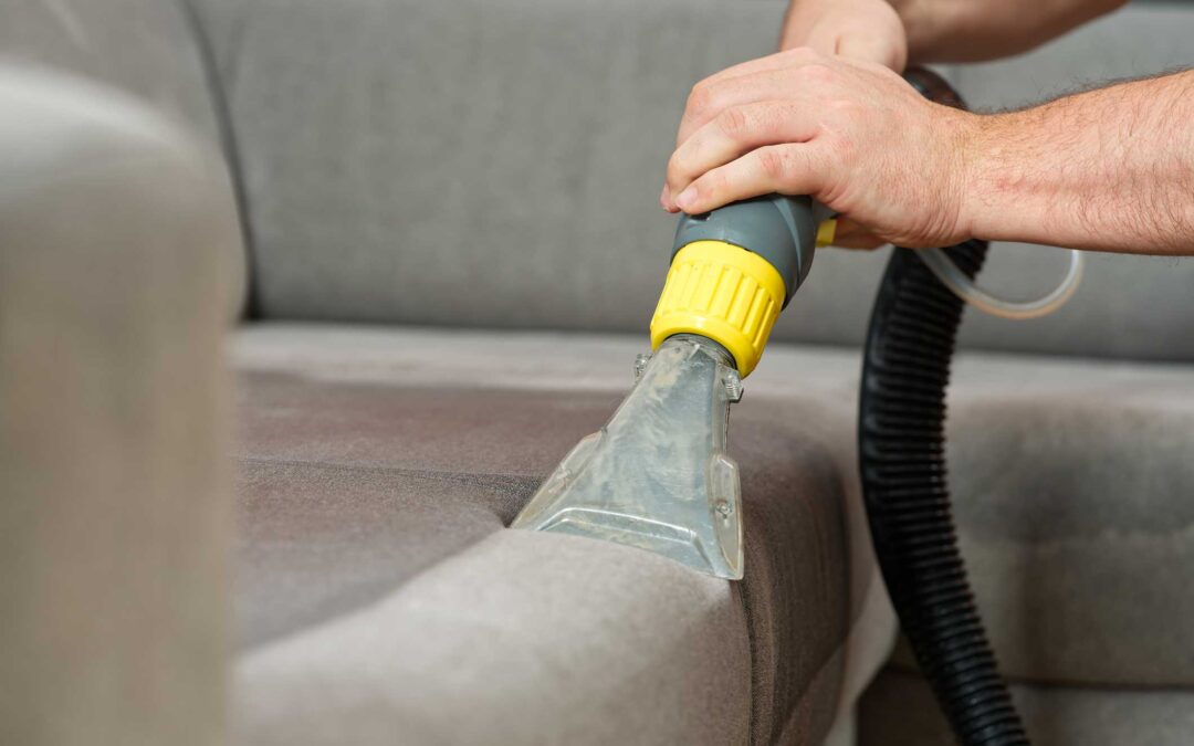 How Often Should You Professionally Clean Your Sofa & Upholstery in 2026?