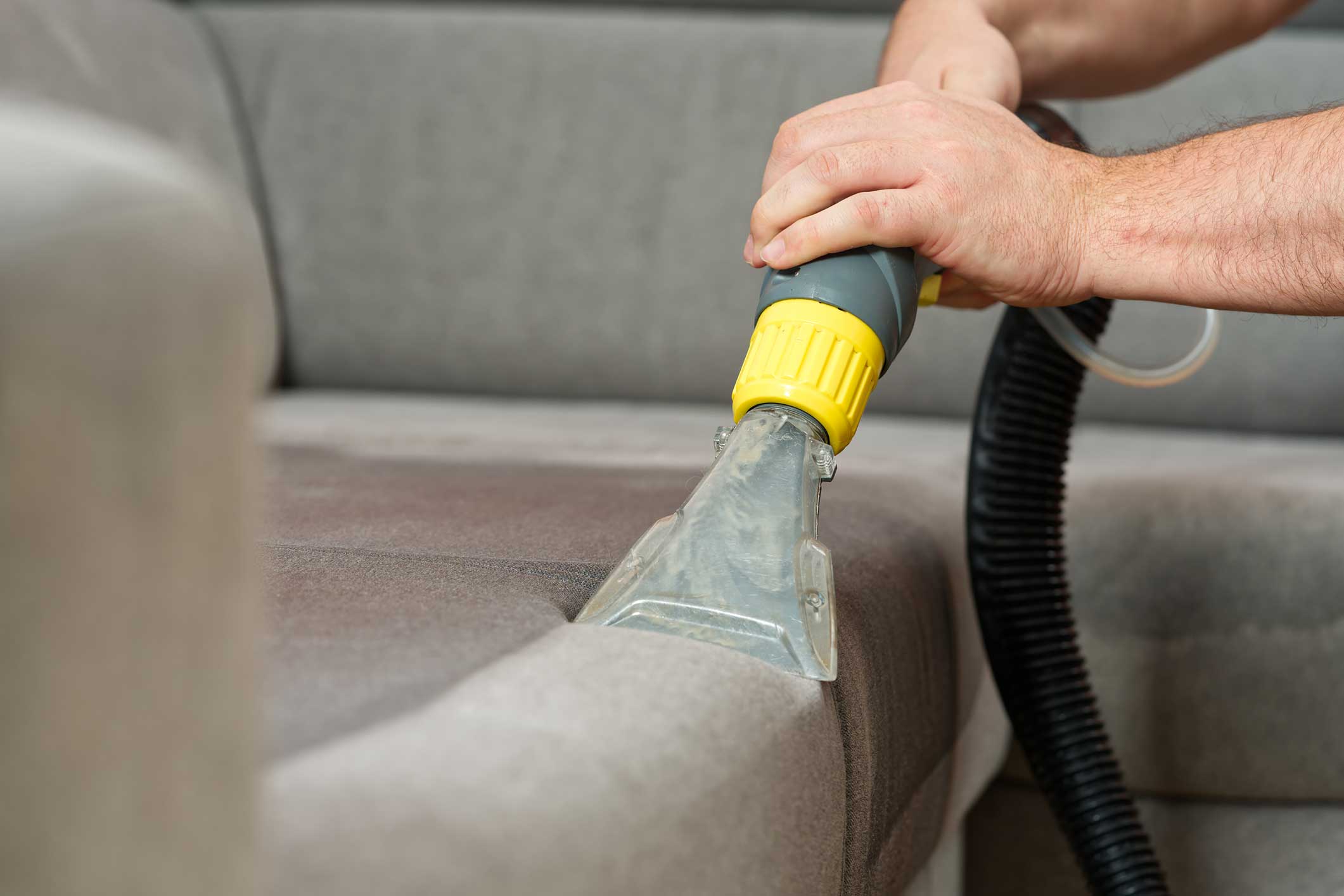 How Often Should You Professionally Clean Your Sofa & Upholstery in 2026?
