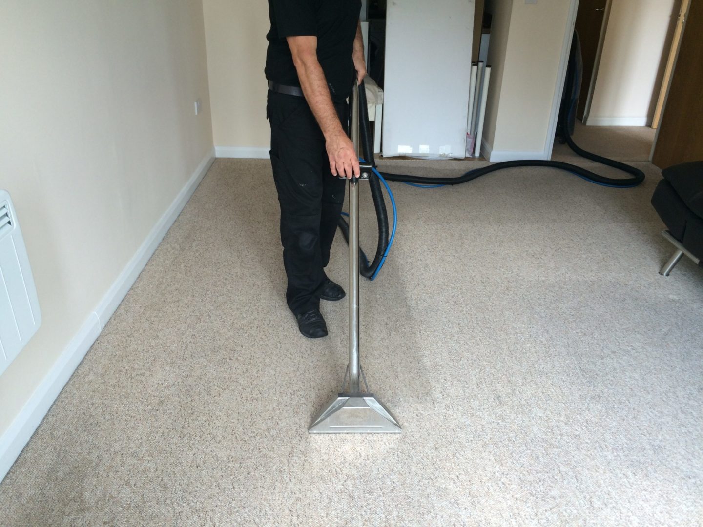 How Often Should You Clean Your Carpets?